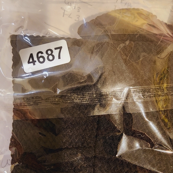 Alt. B Black Short size M - Picture 9 of 9